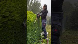 How Effortless Man Cutting Grass Clever Trick shorts [upl. by Carey]