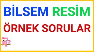 Bilsem Görsel Algı Testi  Resim Sınavı  Örnek Sorular [upl. by Anomis299]