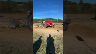 Farmall 450 Pulling 10000 Weight Class farmall tractors tractorpulling shorts [upl. by Mccullough]