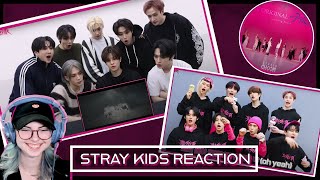 REACTION to Stray Kids quot락 樂 LALALALAquot MV Reaction ft STAY Guide Studio Choom Teaser [upl. by Newman818]