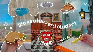 harvard vlog  day in my life as a premed student summer research [upl. by Alegnasor]