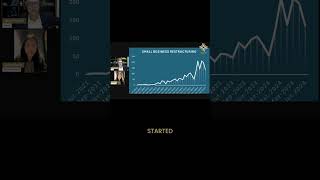 Recent Increase in Small Business Restructuring [upl. by Nataline287]