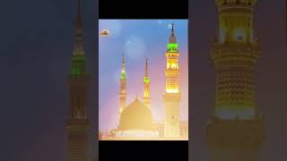 SUBSCRIBE PLZ Noor Wala Aya Ha  Farhan Ali Qadri islam freepalestine shorts shortvideo viral [upl. by Enyedy]