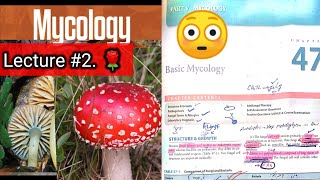 Basic mycology 🛑 LECTURE 2 Chap 47 Difference between fungi and bacteria hyphaeyt Lab diagnosis [upl. by Erdnoid]