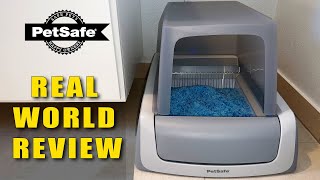 How Good Is The PetSafe Scoop Free Litter Box 8 Years Later [upl. by Leiuqeze324]