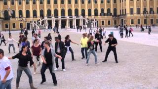 Flashmob 2015 West Coast Swing in Vienna [upl. by Ligriv]