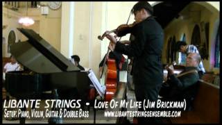 Love Of My Life Jim Brickman cover by Libante Strings [upl. by Aydidey]