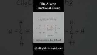 The Alkene Functional Group [upl. by Tertius]