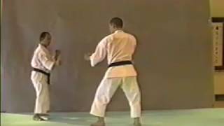 Shorinji Kempo Waza  TSURI OTOSI [upl. by Jabon]