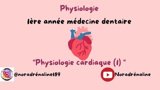 physiologie cardiaque1  physiologie dentaire شرح بالدارجة [upl. by Ynaoj]