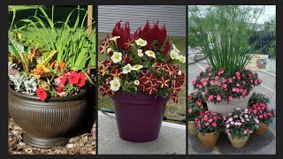 Unique garden pots and planters ideas  Beautiful garden flower planters [upl. by Winifield]