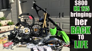 EPIC 800 KX125 resurrection  2 stroke dirt bike build [upl. by Nnaeirelav]