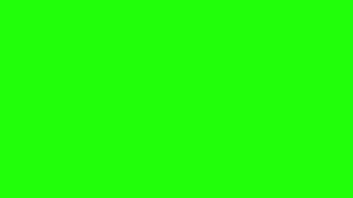 Camera flash green screen with sound effect NO COPYRIGHT [upl. by Etteuqram]