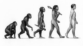 Stages of Human Evoution  Zeeraks Biology human facts viral evolution [upl. by Cristionna]