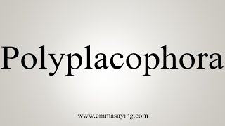 How To Say Polyplacophora [upl. by Phyllys]