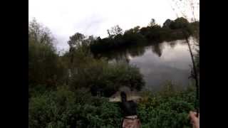 Perch fishing on the River Wye Six of the best [upl. by Mossman60]