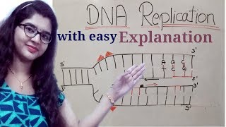 DNA replication in hindi Helicase  leading strand  Lagging strand  Okazaki fragments [upl. by Divod]