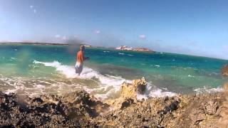 GoProShark Attack Turks and Caicos [upl. by Dreddy]