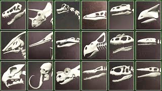 Assemble 3D Dino Skeletons Full 20 Dinosaurs  Eftsei Gaming [upl. by Chantalle42]