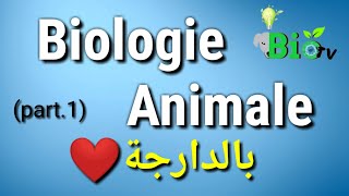 Biologie animale part 1  les protozoaires [upl. by Enehpets994]