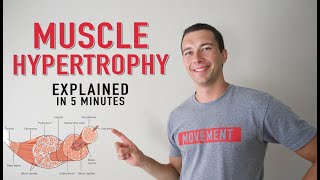 What is Muscle Hypertrophy  Physiology and Mechanisms of Muscle Growth in 5 minutes [upl. by Chavey]