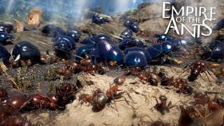 The Giant Beetles Clash  Empire of the Ants  Ep3 HD [upl. by Kcirb]