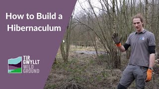 How to build a hibernaculum [upl. by Sky]