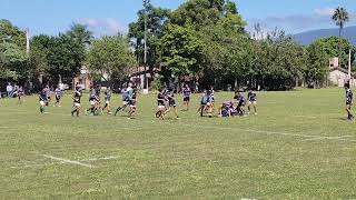 Tucumán Rugby vs Universitario RC M13 2024 Tackes [upl. by Ellecrag]