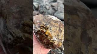 2 billion year old Stromatolite fossil found on frozen Lake Superior beach [upl. by Marni266]