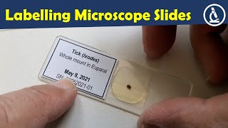 🔬 How to put labels on microscope slides [upl. by Dej]