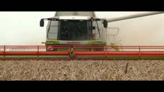 CLAAS LEXION 580 World Record  2008 [upl. by Eirehs]