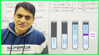 Part 1 Molisch Test with Reactions  Test for Carbohydrates [upl. by Lalittah]