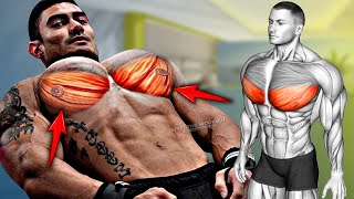 5 Best Exercise quotLOWER CHESTquot Workout [upl. by Aizahs210]