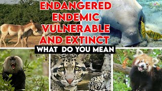 Endangered Endemic Vulnerable and Extinct  What do they mean [upl. by Fezoj]