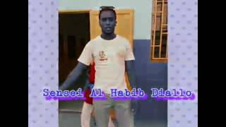 Nichi Nanbudo Senegal Avec Sensei AL habib Diallo [upl. by Eeralav]