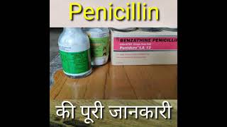 Penicillin Group क्या है इसके अंदर कौन से एंटीबायोटिक आते हैं BENZATHINE PENICILLINshorts [upl. by Kcolttam175]