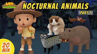 Nocturnal Animals Minisode Compilation Part 12  Leo the Wildlife Ranger  Animation  For Kids [upl. by Nyrb917]