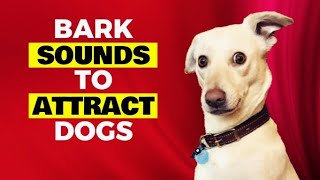 Barking Sounds To Attract Dogs Dogs Barking [upl. by Ynffit]