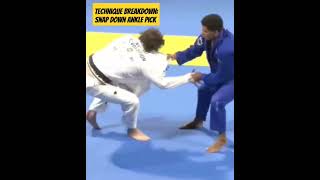 Technique Breakdown Snap Down Ankle Pick Bjj JiuJitsu DFMCoaching [upl. by Norris]