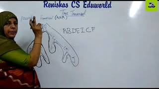 Tree Traversal Malayalam CST 201 Data Structures  Part 41 [upl. by Atiraj]