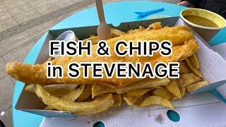 FISH amp CHIPS in STEVENAGE Beers at Six Hills Brewery Tap [upl. by Ennovy44]