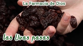 Las uvas pasas propiedades y beneficios para nuestra salud [upl. by Paik]