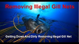 Getting Down And Dirty Removing Illegal Gill Net – South Africa [upl. by Av]