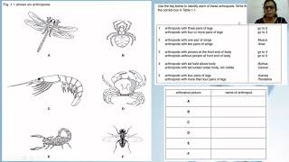 Unit 1 Classification Dichotomous key with past paper questions [upl. by Shaia383]