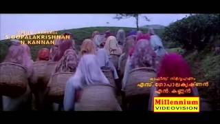 Malayalam Film Song  Kurumaali Kunninu  Lelam  MGSreekumar Sujatha Mohan [upl. by Elcarim]