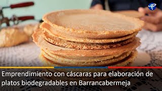 Emprendimiento con cáscaras para elaboración de platos biodegradables en Barrancabermeja [upl. by Aromat]