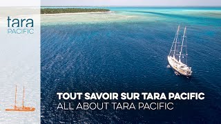 Tara Pacific Tout savoir sur Tara Pacific  All about Tara Pacific [upl. by Athey961]