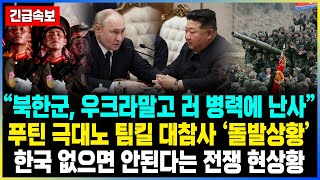 “북한군 우크라말고 러 병력에 난사” 푸틴 극대노 팀킬 대참사 ‘돌발상황’ 한국 없으면 안된다는 전쟁 현상황 [upl. by Nodroj]