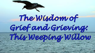 The Wisdom of Grief and Grieving This Weeping Willow [upl. by Gilly]