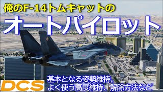 俺のF14トムキャットのオートパイロット  Heatblur F14  機体メカニズム  DCS World [upl. by Tannenwald208]